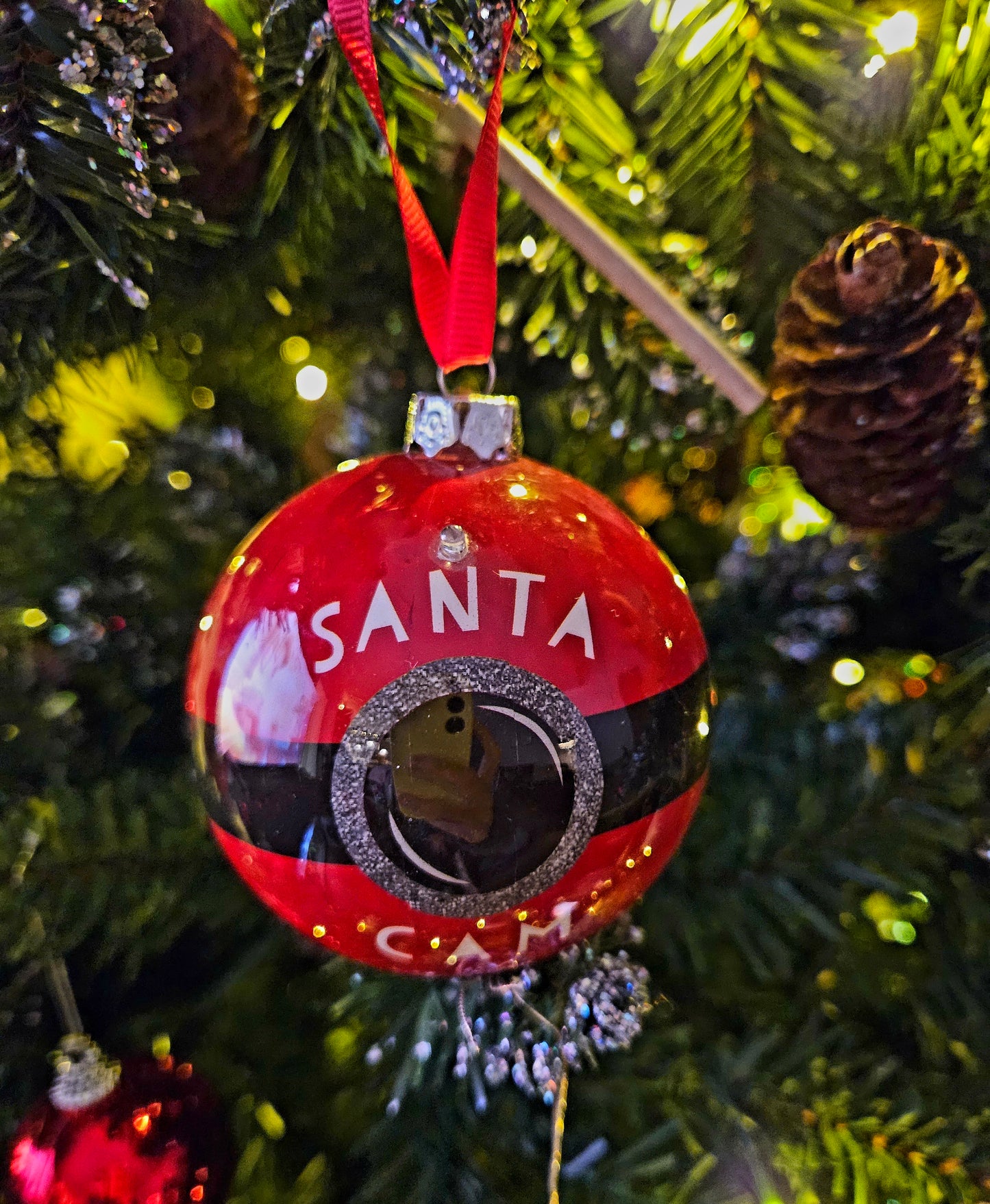 Santa Cam Bauble